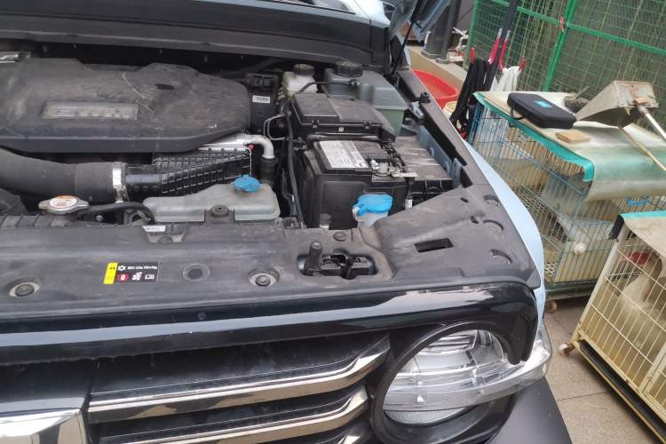Used Tank 300 New Energy 2024 Hi4-T Engine Bay Left