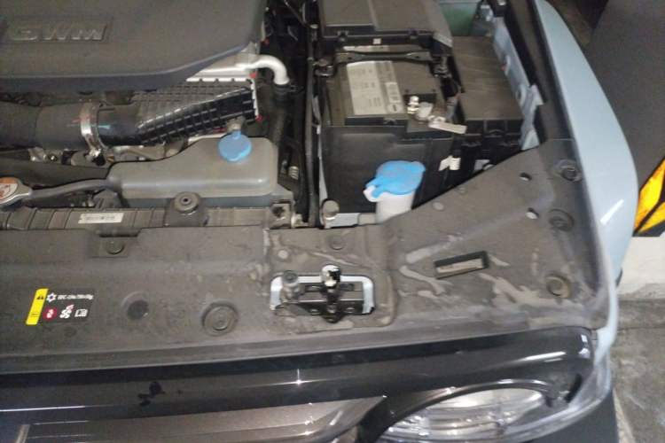 Used Tank 300 New Energy 2024 Hi4-T Engine Bay Left