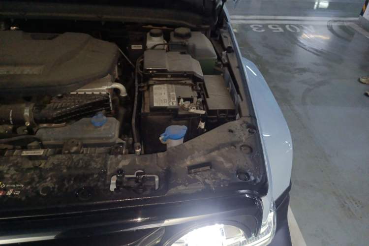 Used Tank 300 New Energy 2024 Hi4-T Engine Bay Left