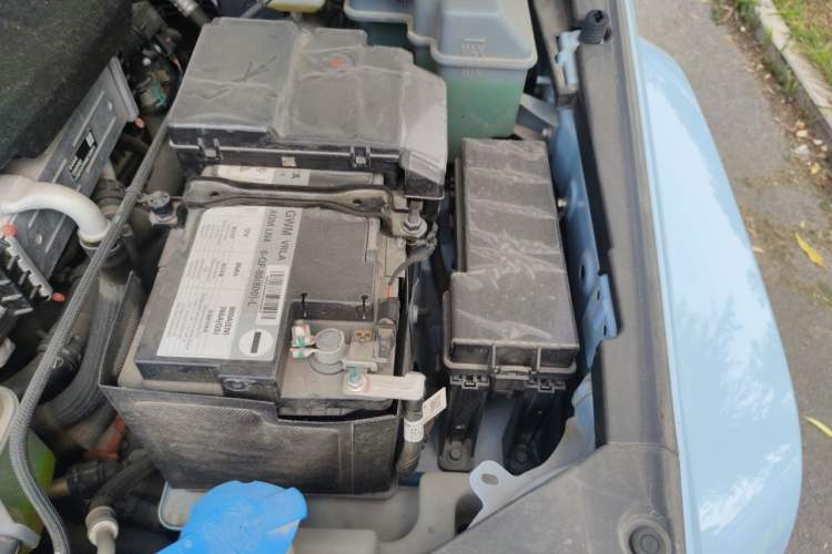 Used Tank 300 New Energy 2024 Hi4-T Engine Bay Left