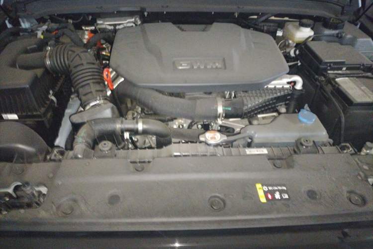 Used Tank 300 New Energy 2024 Hi4-T Engine Bay
