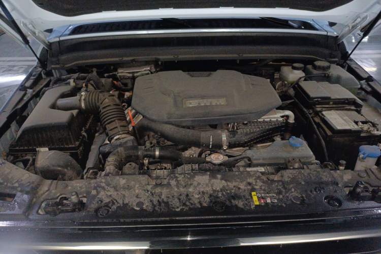 Used Tank 300 New Energy 2024 Hi4-T Engine Bay