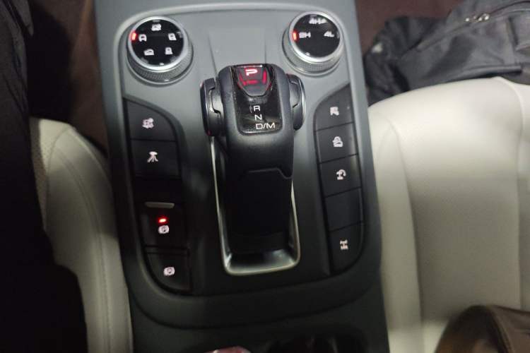 Used Tank 300 New Energy 2024 Hi4-T Gear Lever