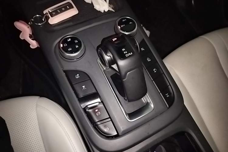 Used Tank 300 New Energy 2024 Hi4-T Gear Lever