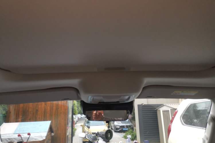 Used Tank 300 New Energy 2024 Hi4-T Headliner