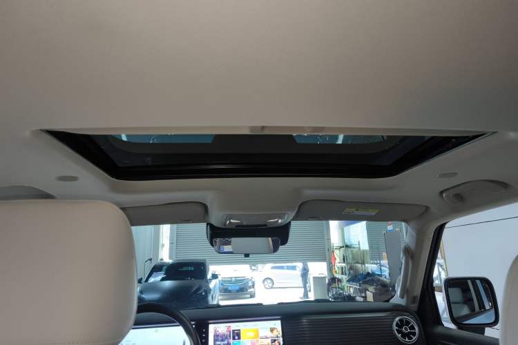 Used Tank 300 New Energy 2024 Hi4-T Headliner