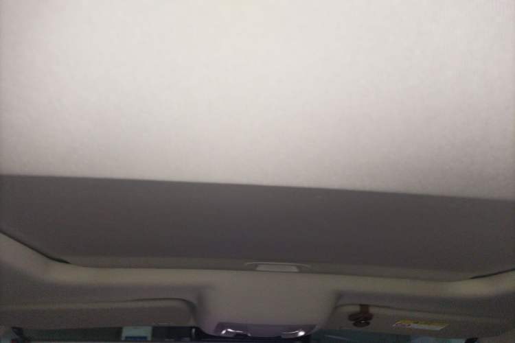 Used Tank 300 New Energy 2024 Hi4-T Headliner