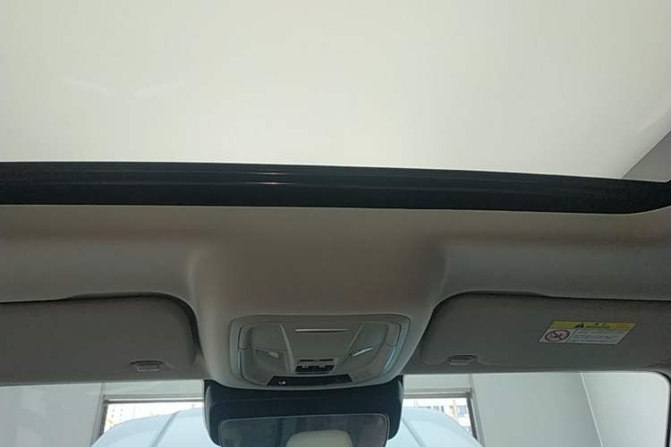 Used Tank 300 New Energy 2024 Hi4-T Headliner