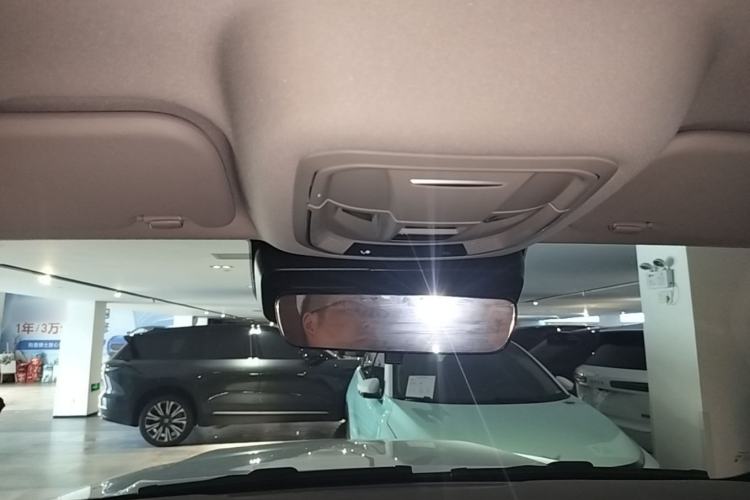 Used Tank 300 New Energy 2024 Hi4-T Headliner