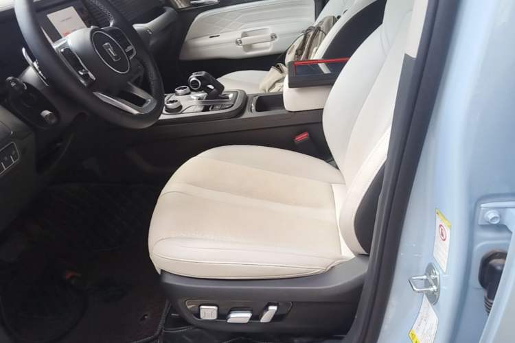 Used Tank 300 New Energy 2024 Hi4-T Left Front Seat