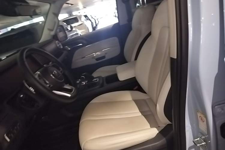 Used Tank 300 New Energy 2024 Hi4-T Left Front Seat