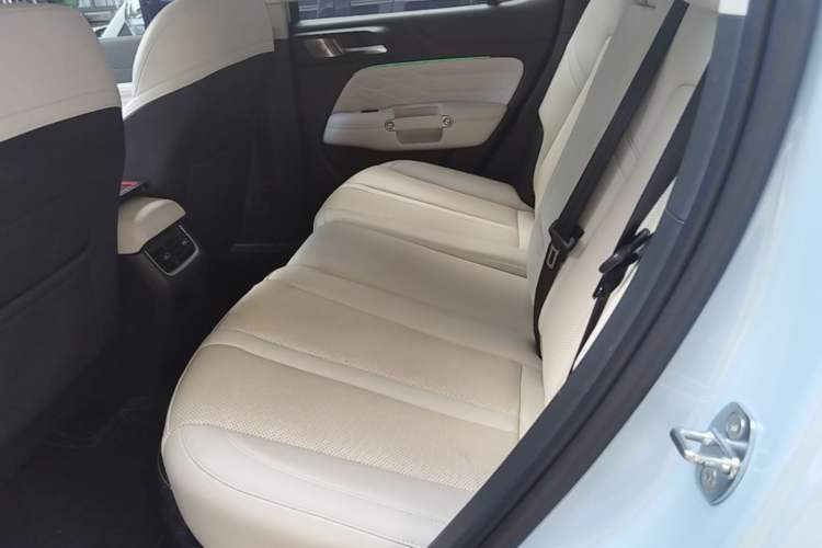 Used Tank 300 New Energy 2024 Hi4-T Left Rear Seat