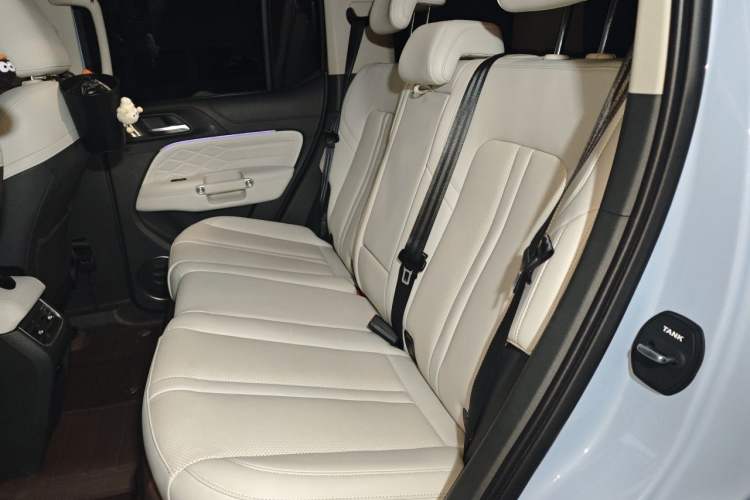 Used Tank 300 New Energy 2024 Hi4-T Left Rear Seat