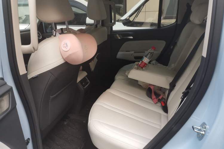 Used Tank 300 New Energy 2024 Hi4-T Left Rear Seat