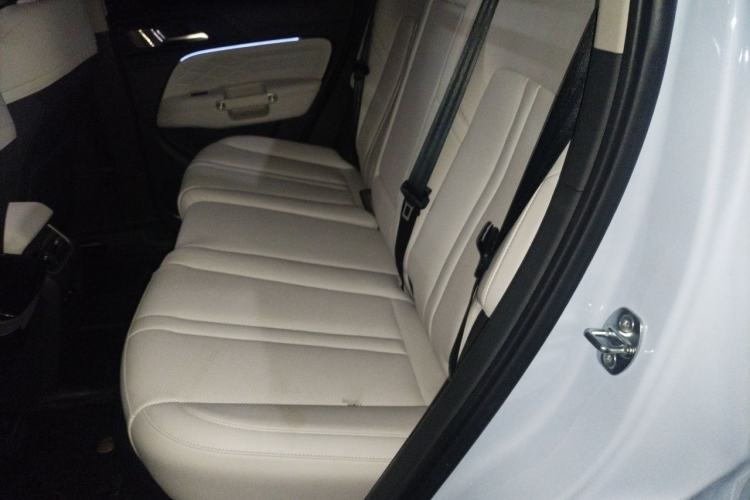 Used Tank 300 New Energy 2024 Hi4-T Left Rear Seat