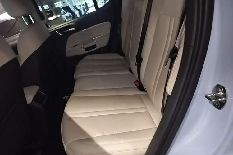 Used Tank 300 New Energy 2024 Hi4-T Left Rear Seat