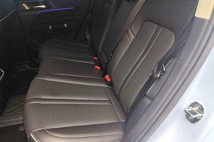 Used Tank 300 New Energy 2024 Hi4-T Left Rear Seat