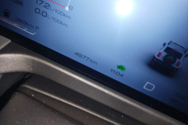 Used Tank 300 New Energy 2024 Hi4-T Odometer Close Up