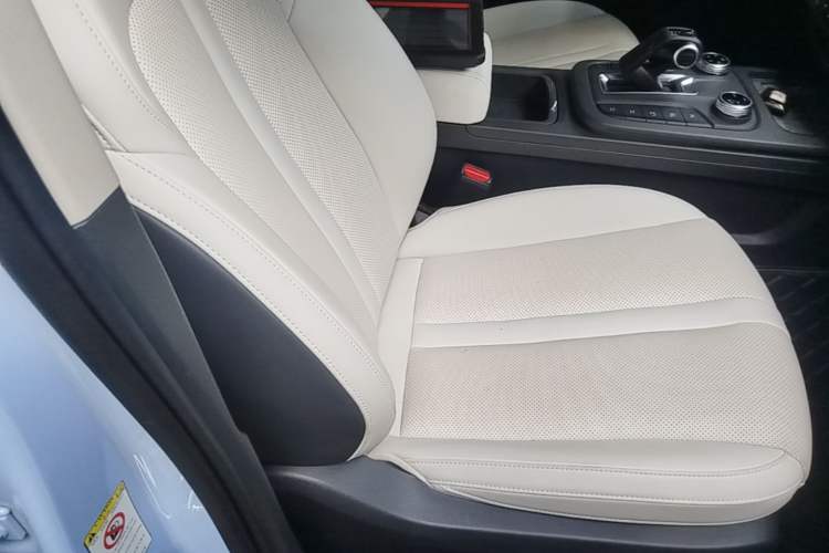 Used Tank 300 New Energy 2024 Hi4-T Right Front Seat