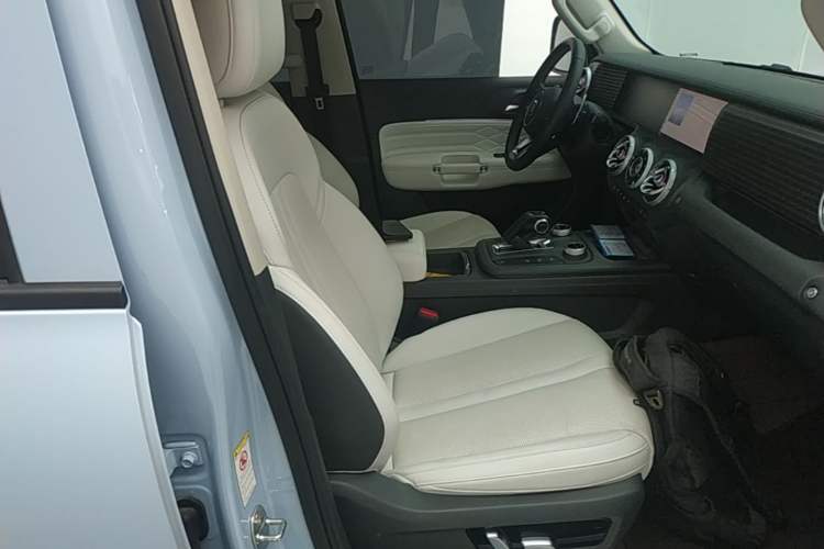 Used Tank 300 New Energy 2024 Hi4-T Right Front Seat