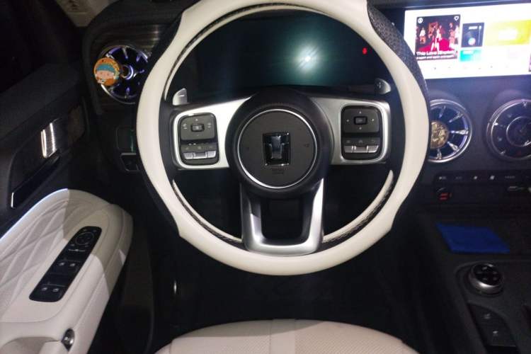 Used Tank 300 New Energy 2024 Hi4-T Steering Wheel