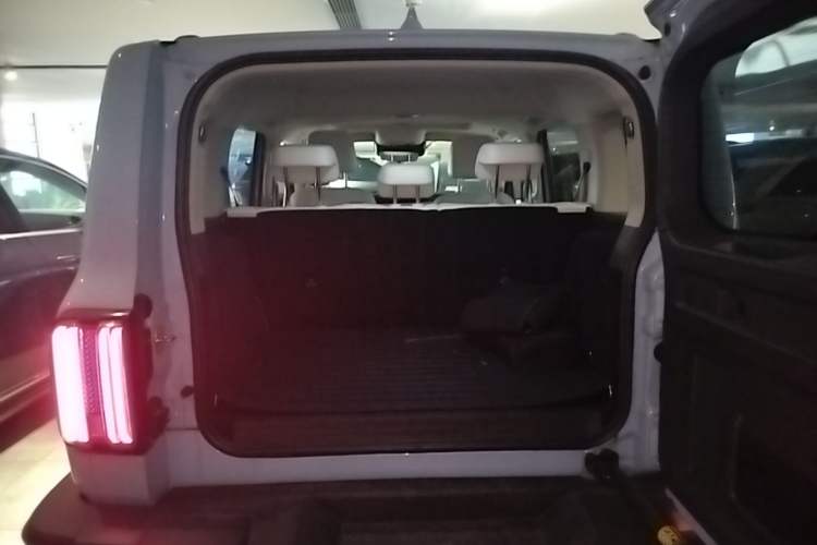 Used Tank 300 New Energy 2024 Hi4-T Trunk