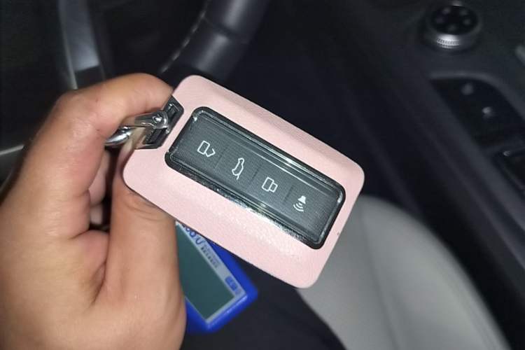Used Tank 300 New Energy 2024 Hi4-T Vehicle Key