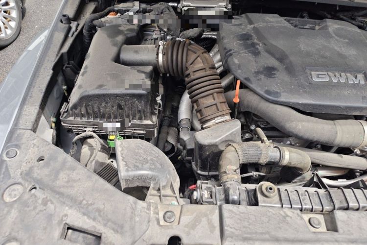 Used Tank 300 New Energy 2024 Hi4-T Engine Bay Right