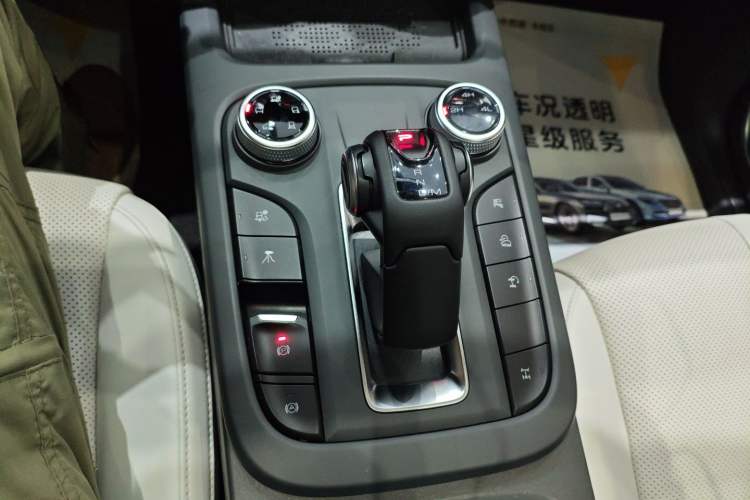 Used Tank 300 New Energy 2024 Hi4-T Gear Lever