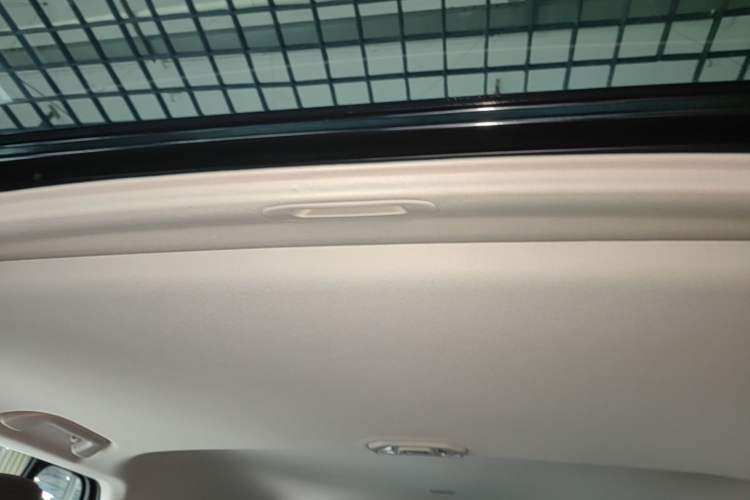 Used Tank 300 New Energy 2024 Hi4-T Headliner