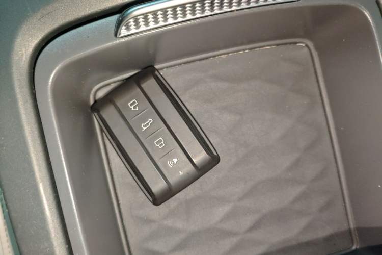 Used Tank 300 New Energy 2024 Hi4-T Interior 1