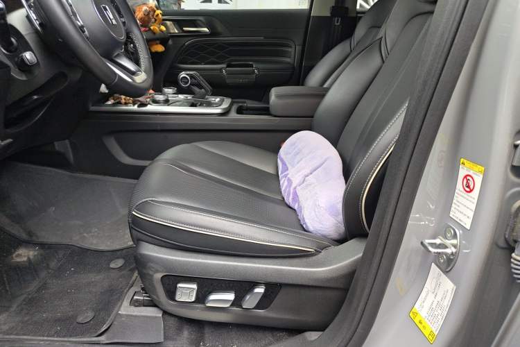 Used Tank 300 New Energy 2024 Hi4-T Left Front Seat