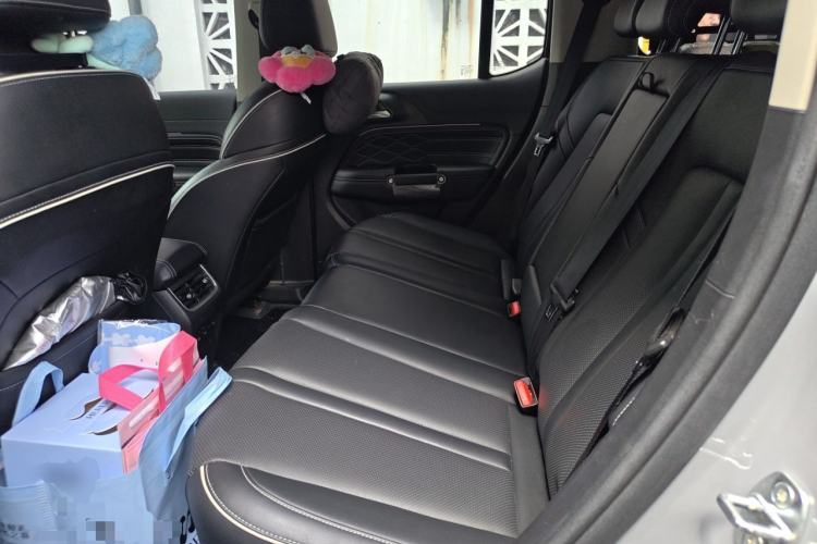 Used Tank 300 New Energy 2024 Hi4-T Left Rear Seat