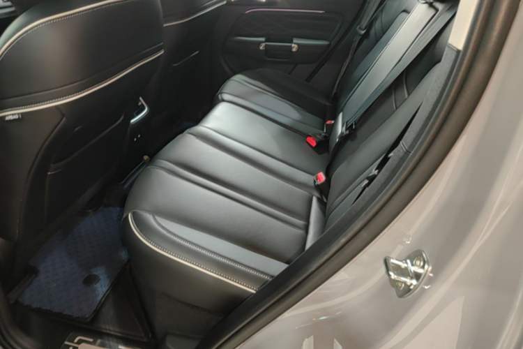 Used Tank 300 New Energy 2024 Hi4-T Left Rear Seat