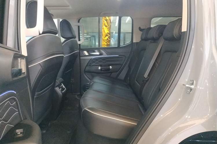 Used Tank 300 New Energy 2024 Hi4-T Left Rear Seat