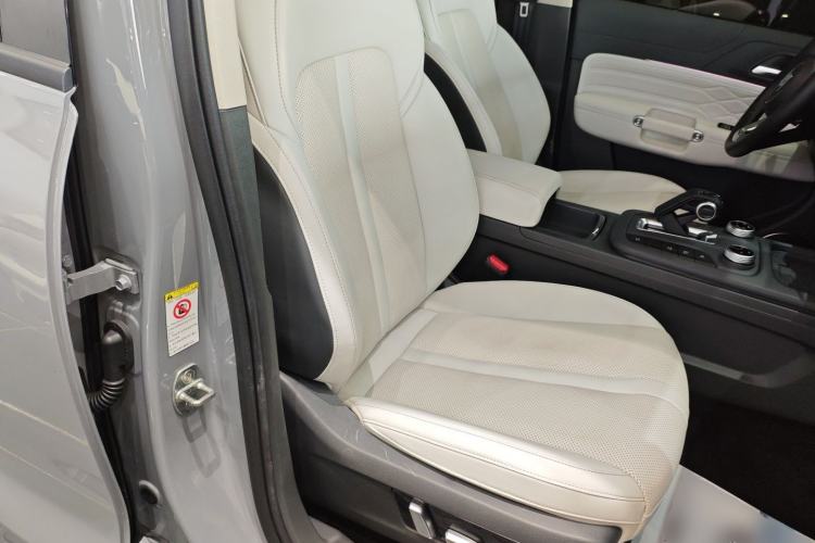 Used Tank 300 New Energy 2024 Hi4-T Right Front Seat
