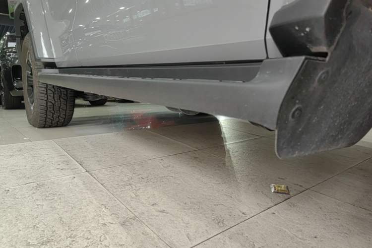 Used Tank 300 New Energy 2024 Hi4-T Right Side Sill