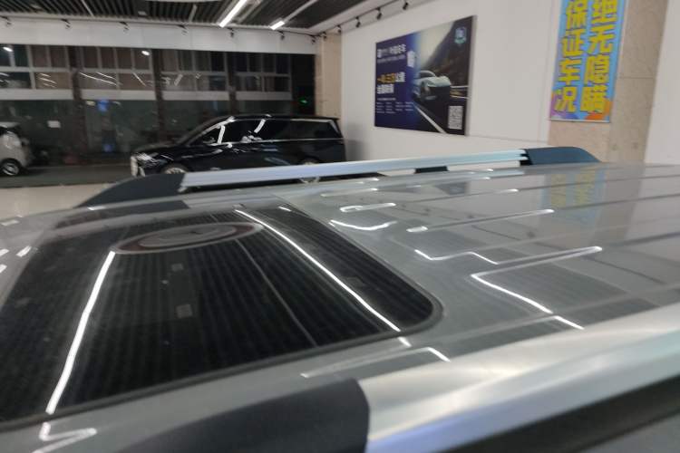 Used Tank 300 New Energy 2024 Hi4-T Roof