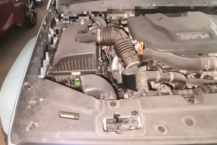 Used Tank 300 New Energy 2024 Hi4-T Engine Bay Right