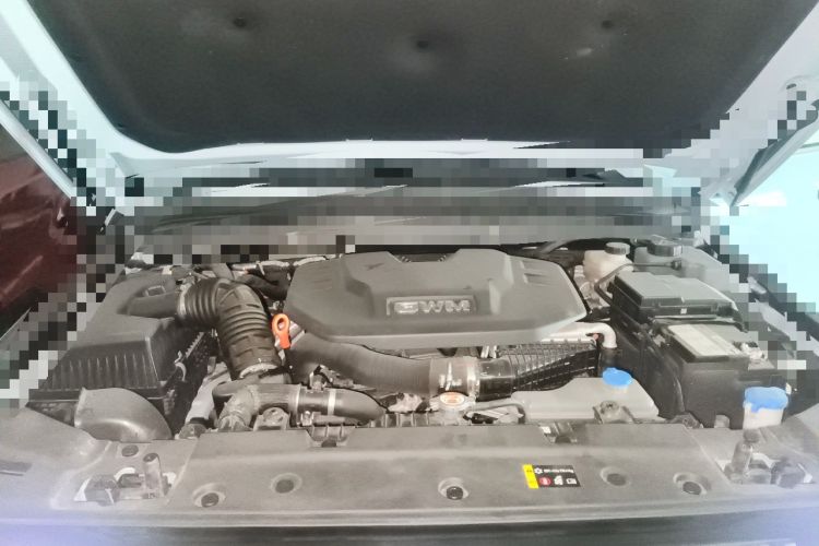 Used Tank 300 New Energy 2024 Hi4-T Engine Bay