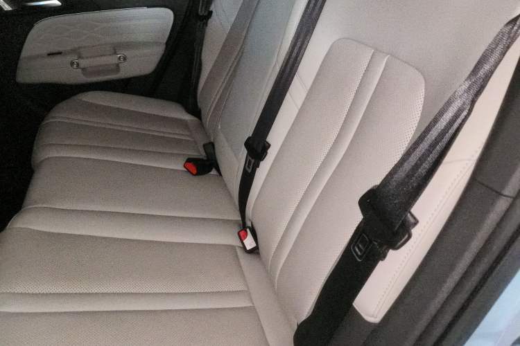 Used Tank 300 New Energy 2024 Hi4-T Left Rear Seat