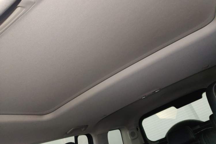 Used Tank 300 New Energy 2024 Hi4-T Headliner
