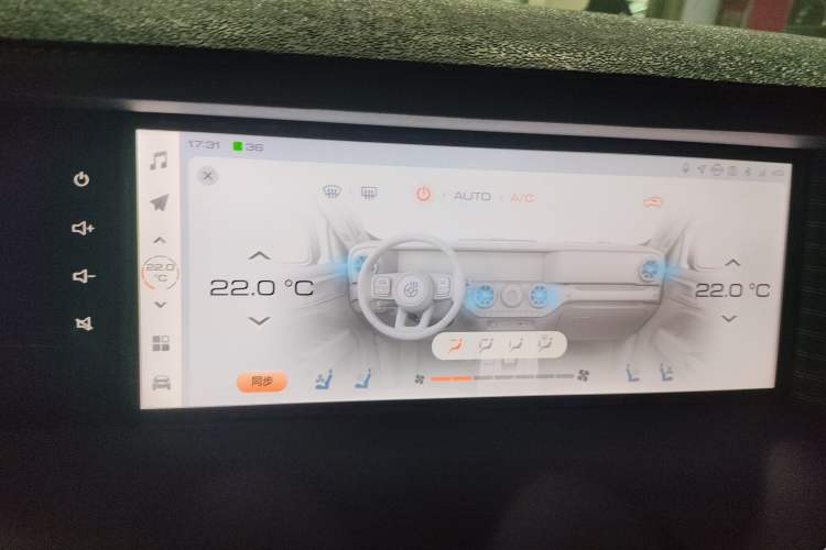 Used Tank 300 New Energy 2024 Hi4-T Audio And AC Panel