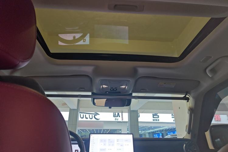 Used Tank 300 New Energy 2024 Hi4-T Headliner