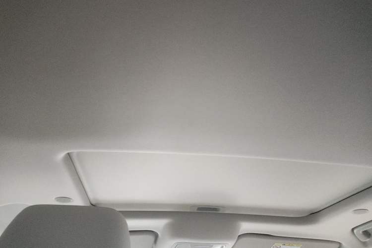 Used Tank 300 New Energy 2024 Hi4-T Headliner