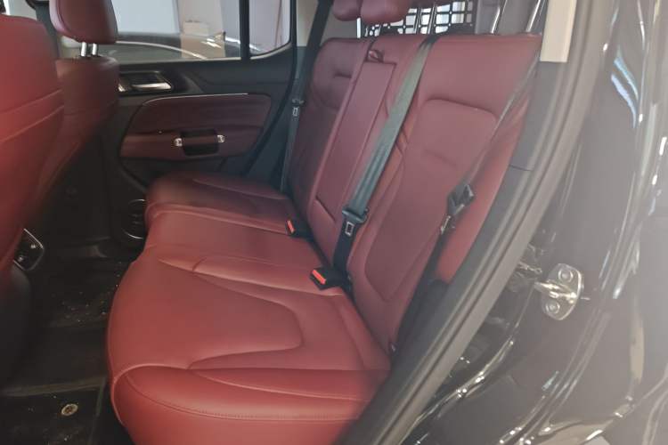 Used Tank 300 New Energy 2024 Hi4-T Left Rear Seat