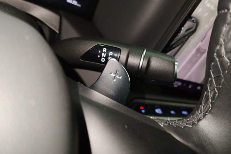 Used Tank 300 New Energy 2024 Hi4-T Gear Lever