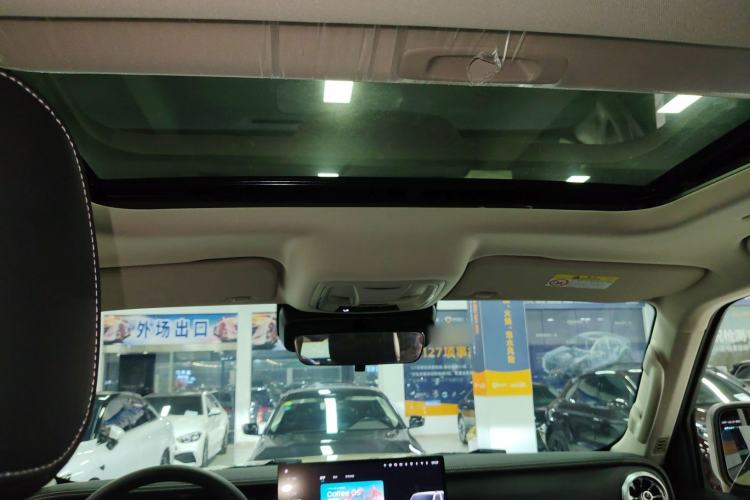 Used Tank 300 New Energy 2024 Hi4-T Headliner