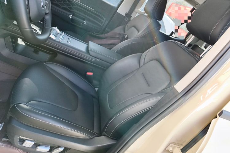 Used Tank 300 New Energy 2024 Hi4-T Left Front Seat