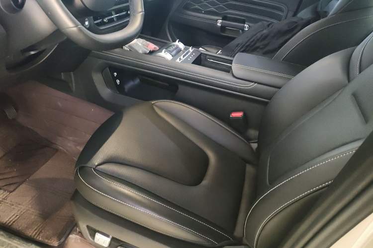 Used Tank 300 New Energy 2024 Hi4-T Left Front Seat